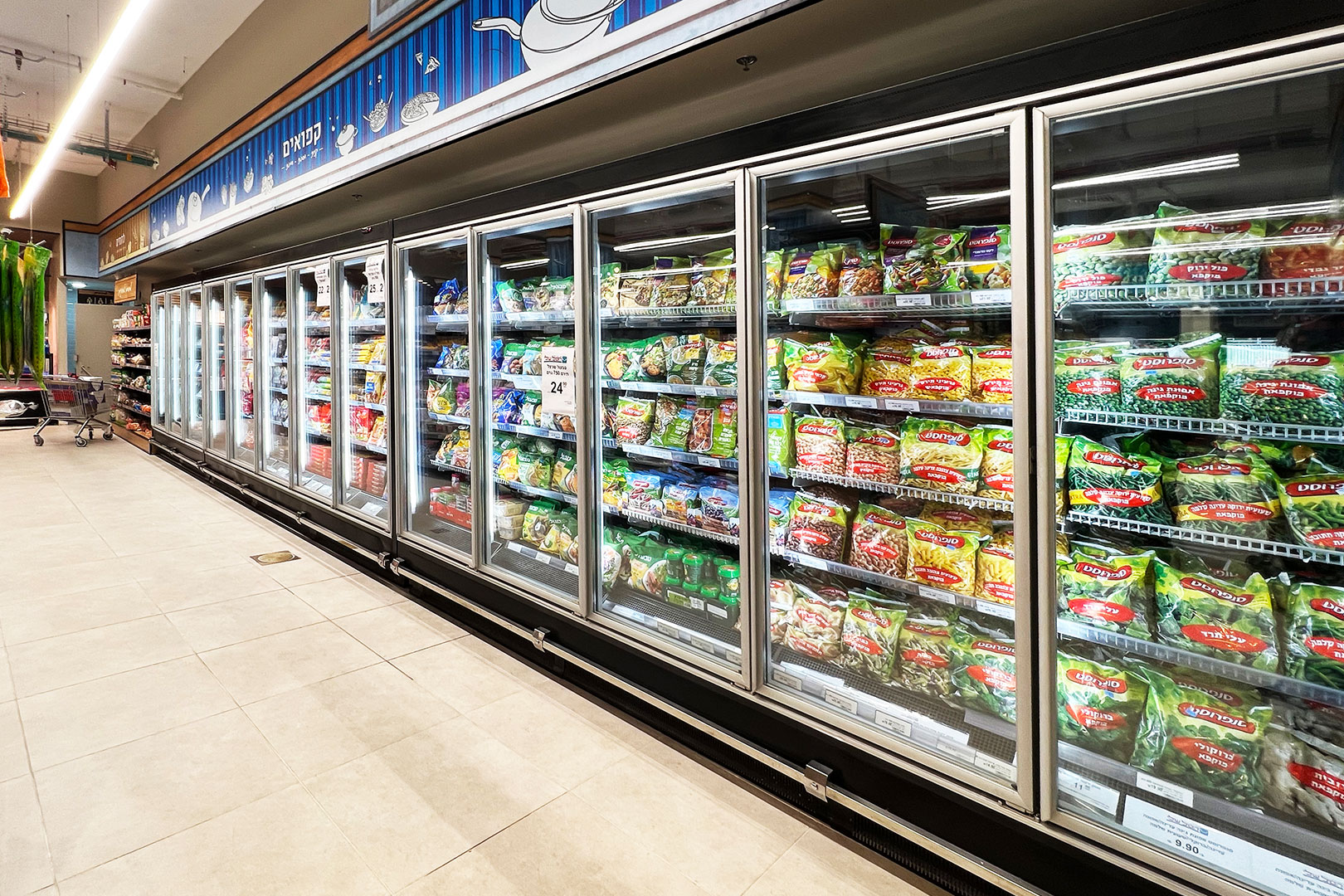 Frozen foods units Louisiana MV 090 LT D M, convenience store (Israel)