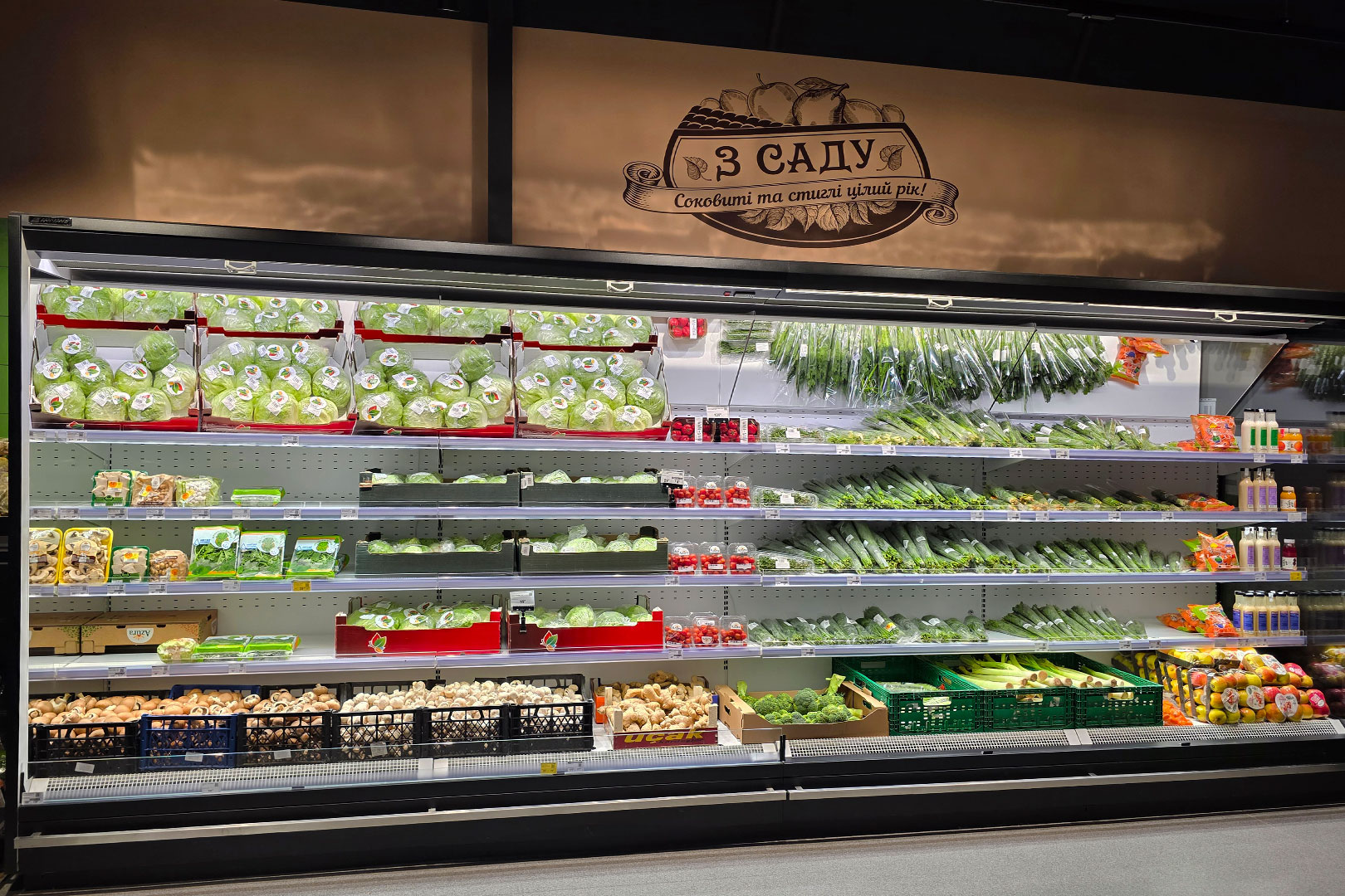 Пристенные витрины Indiana 2 MV 090 FV O 205-DLM, гипермаркет Fozzy, Черновцы Пристенные витрины Indiana 2 MV 090 FV O 205-DLM, гипермаркет Fozzy, Черновцы